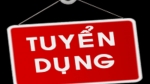 Tuyển 5 nhân viên Kinh doanh - Tháng 6/2019